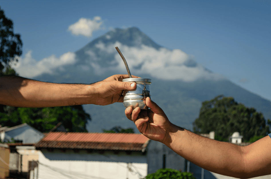 Encontrá el código de barras adecuado para la Yerba Mate en Argentina